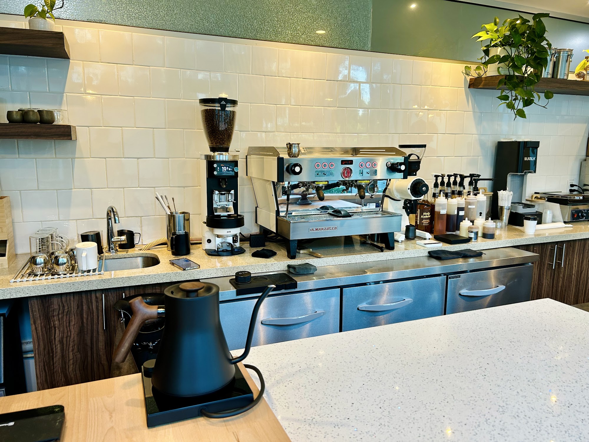 Chapola Cafe coffee bar with espresso machine, grinders, plants, and brewing tools